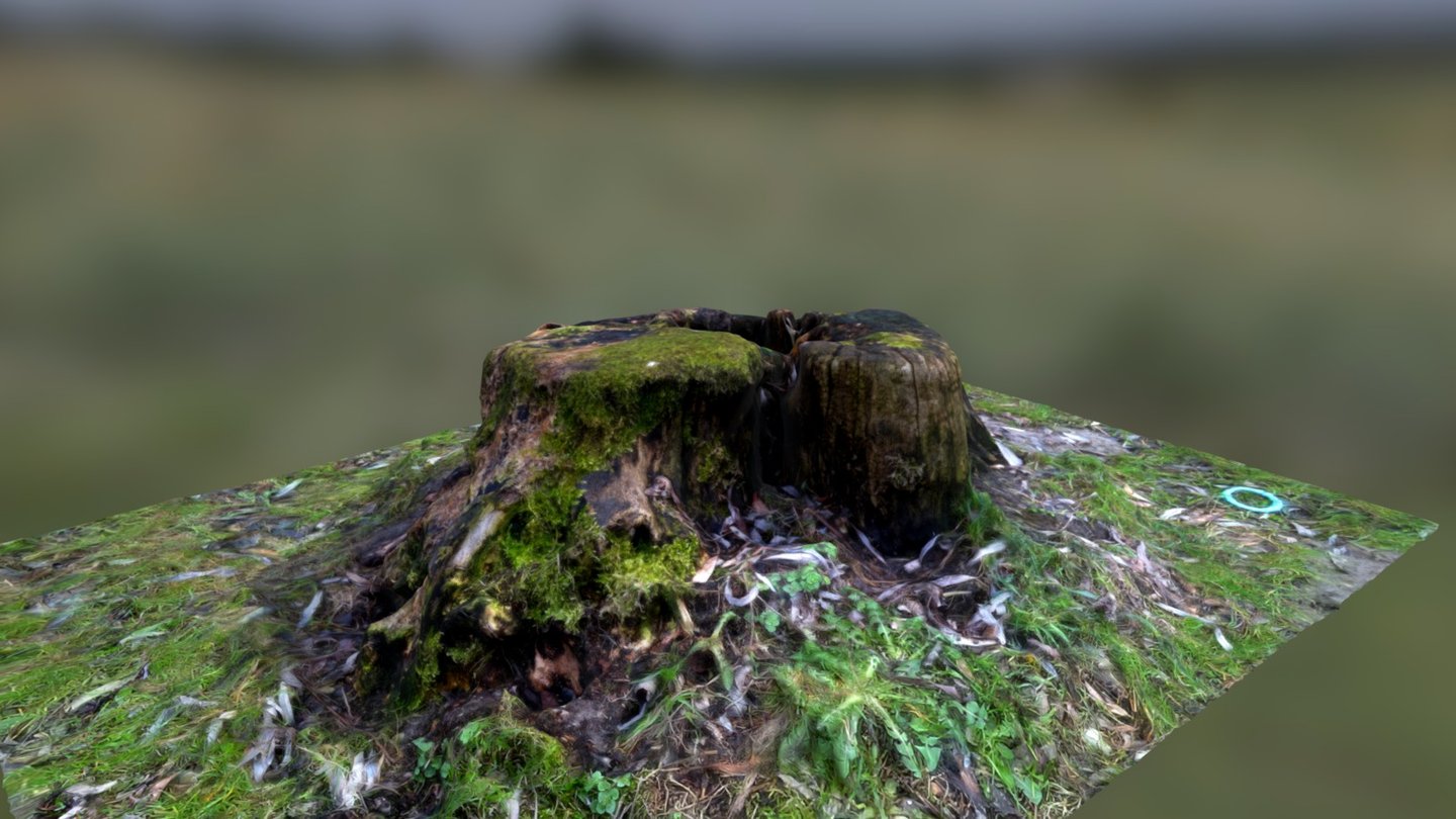 pieniek_02 (stump_02)