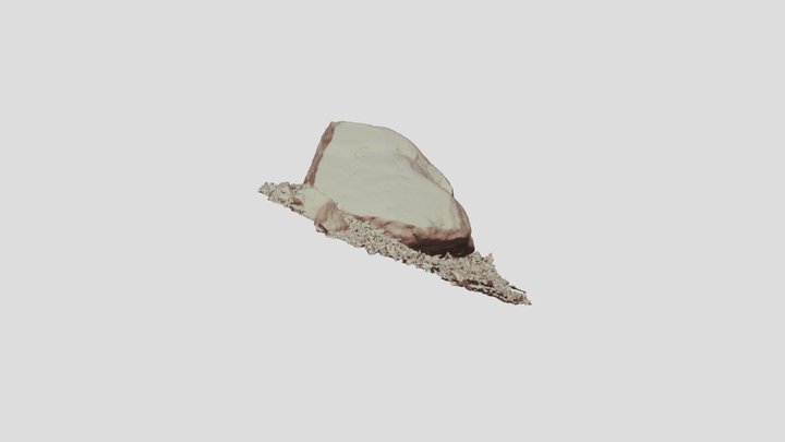 「羽柴右近」の刻印石 3D Model