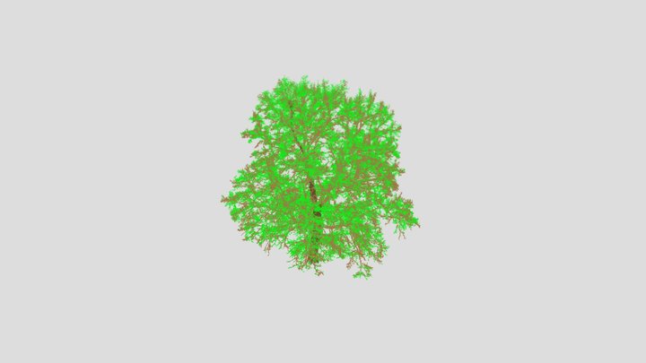 Tree 0006 3D Model