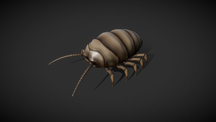 Meat Bug HD Gothic Game 3D Model