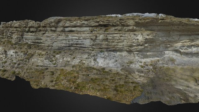 Distal Laguna Figueora 3D Model