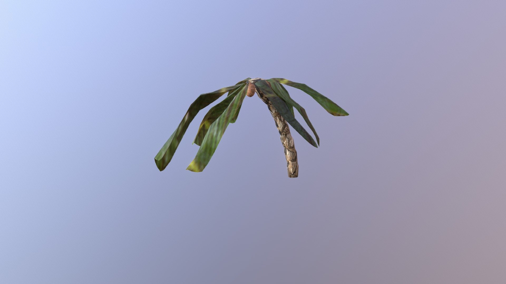 Palmtree