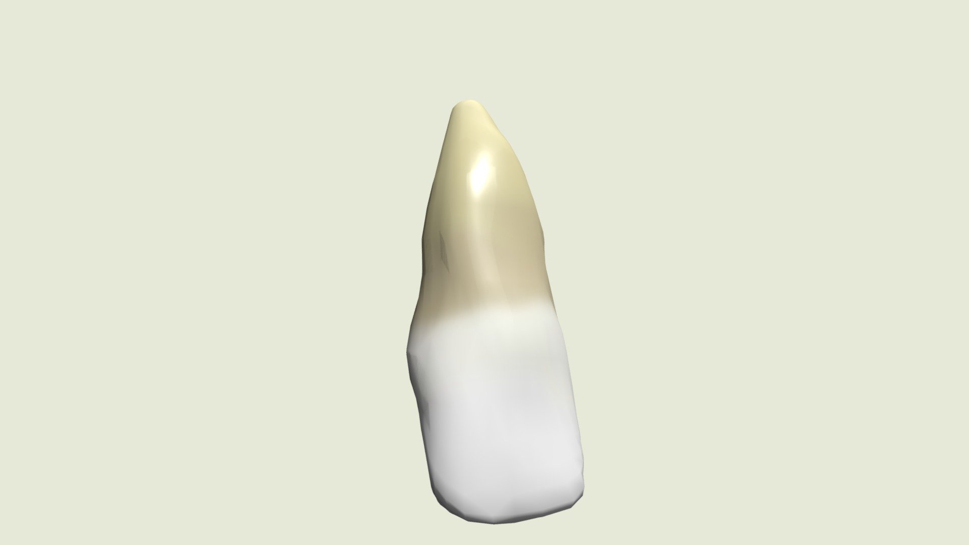 Incisor Test - Download Free 3D model by hgreetham [4d5102f] - Sketchfab