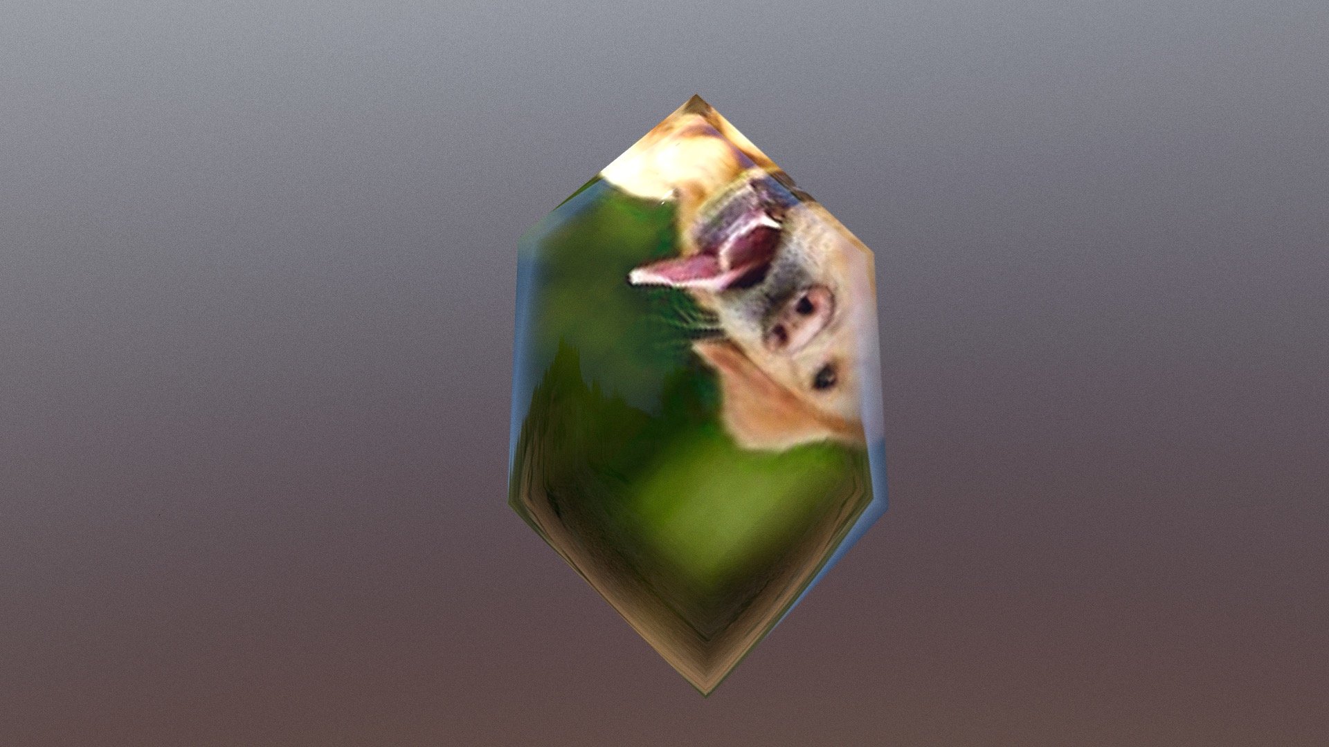doggy crystalz