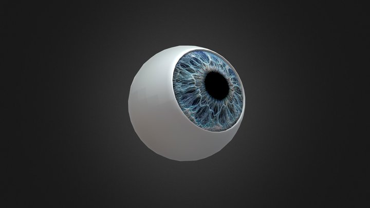 Eye 3D Model