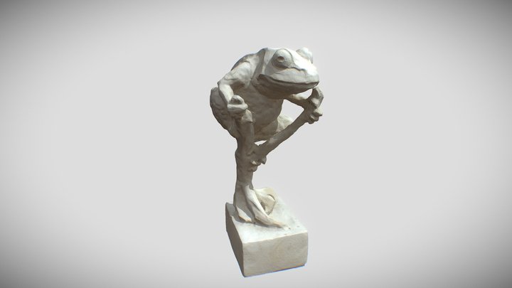The Frog 3D Model