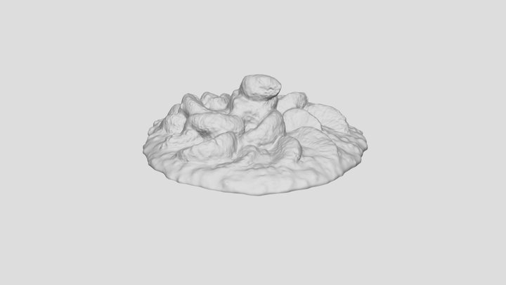 RiceMandarinScale 3D Model