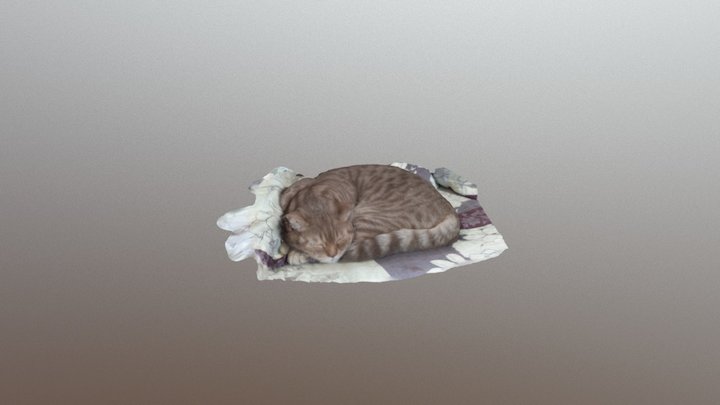 First cat scan 3D Model