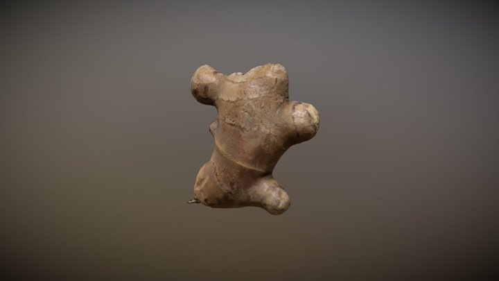Ginger Prop 3D Model