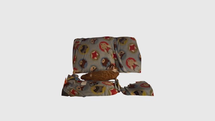 Cat 3D Model