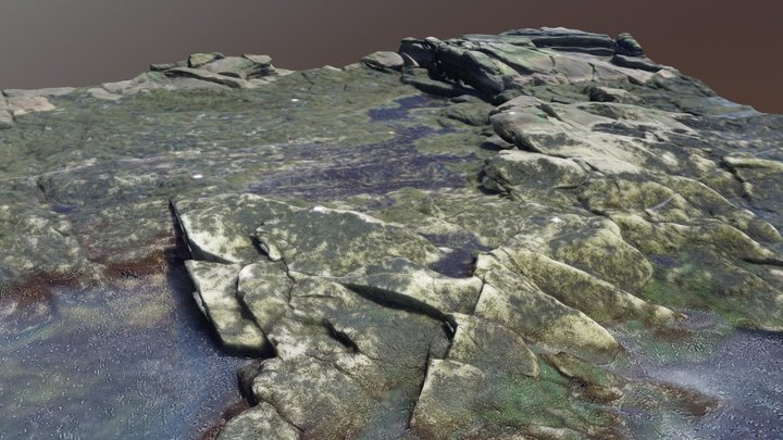 Intertidal Shore @ Chamberlain, ME 3D Model