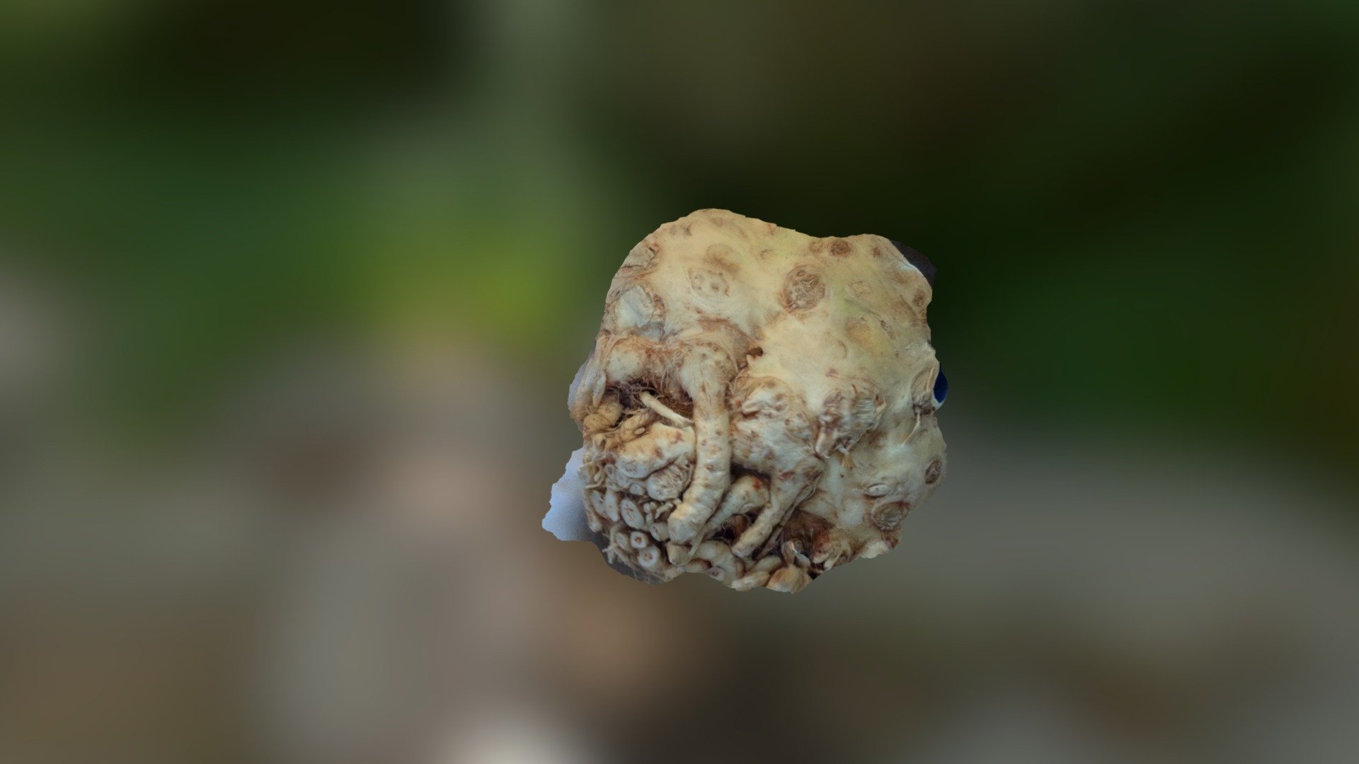 A TRNIO Model