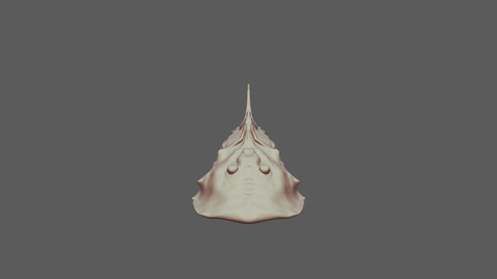 Fish 3D Model