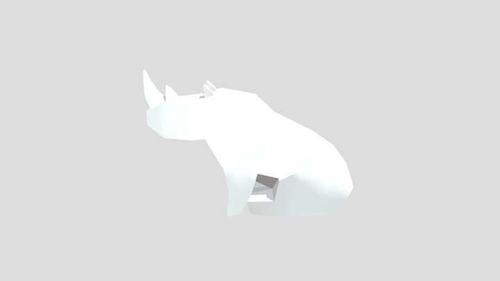Rhino 3D Model