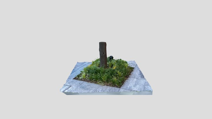 Scan 2022-06-27T10:06:31.968Z 3D Model