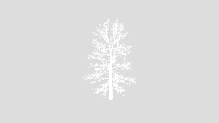 Forest Tree