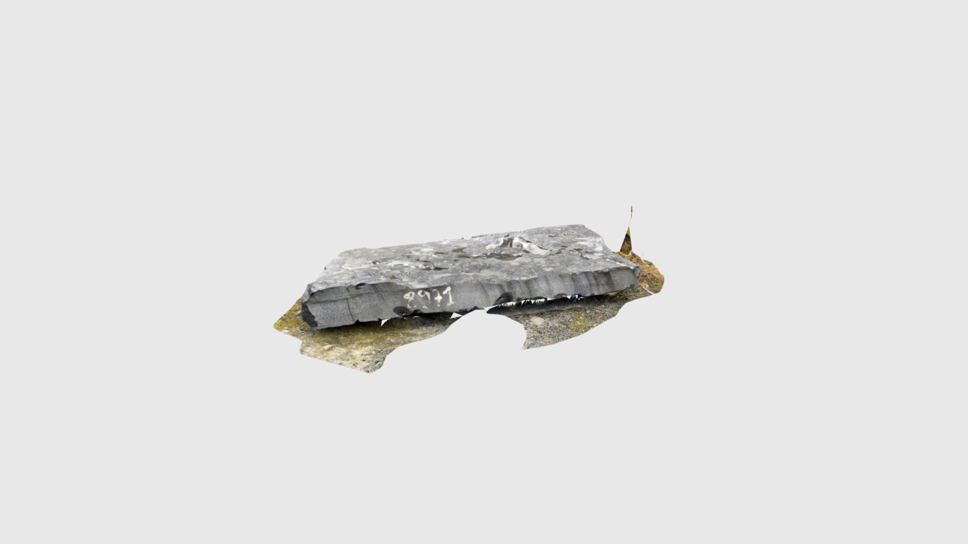 Bloc 8971