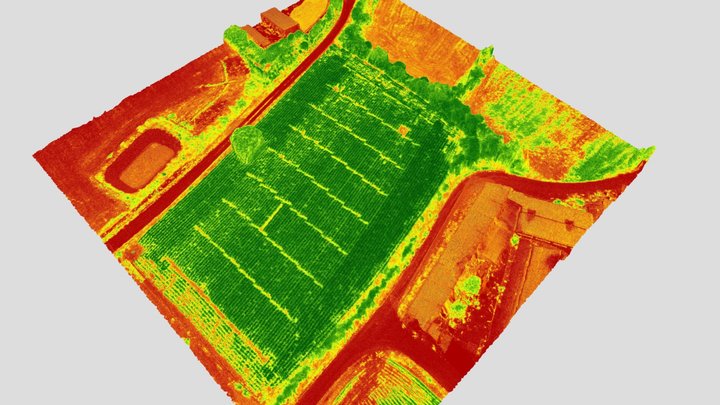 NDVI 3D Model