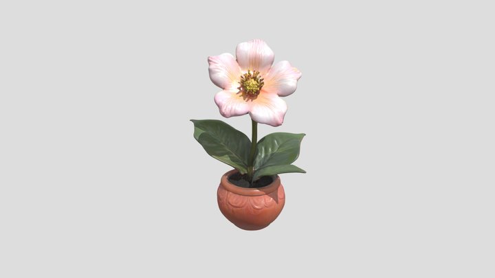 Jasmin in a Red ceramic pot