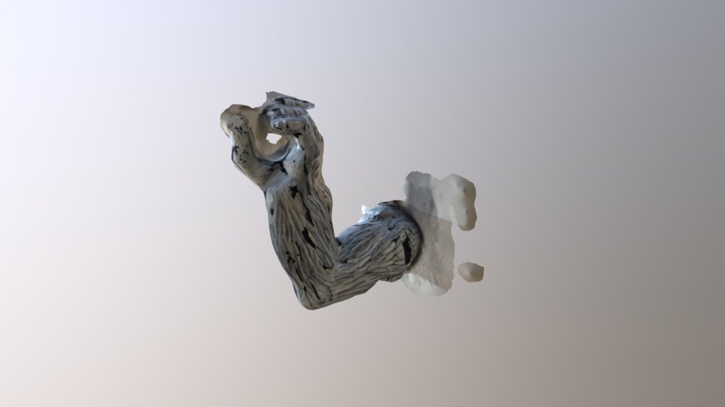 Arm1test