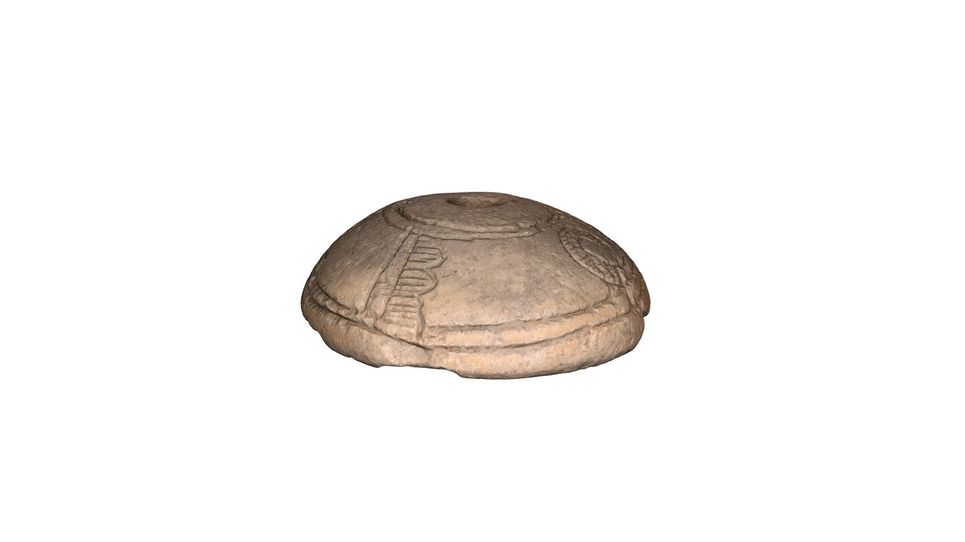 YPM ANT.135942