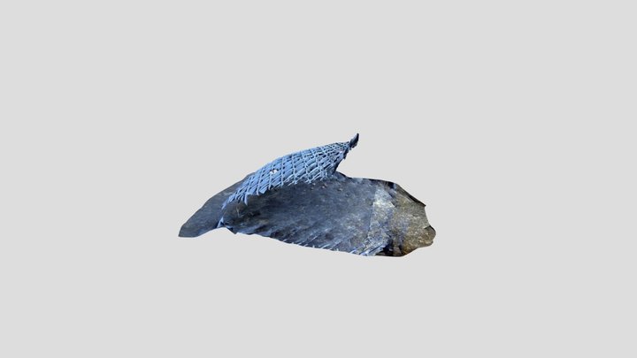 Rcf grille 3D Model
