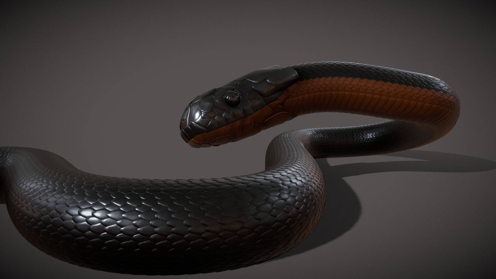 Python - Download Free 3D model by MotionStreamStudios [4d802f3 ...