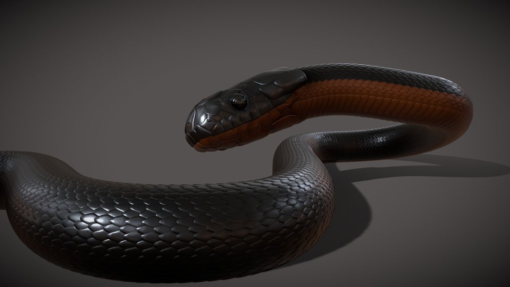 Python