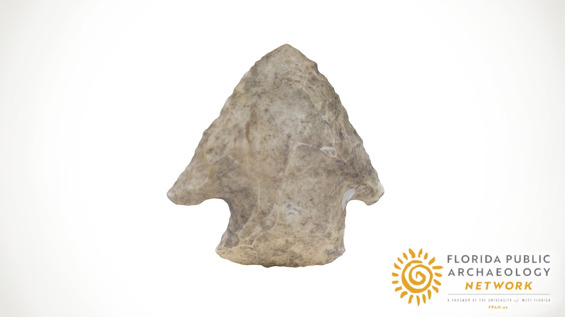 Stemmed Archaic Point - 3D model by Florida Public Archaeology Network ...