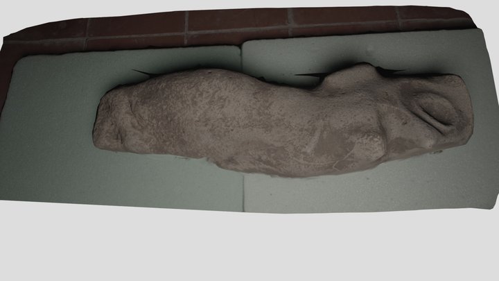 Test obj1 low poly 3D Model