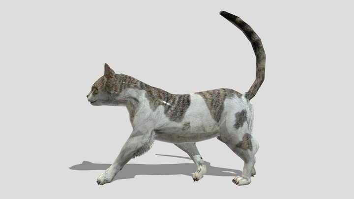 Cat – Stylized Animated 3D Model – Modello 3D gratuito STL