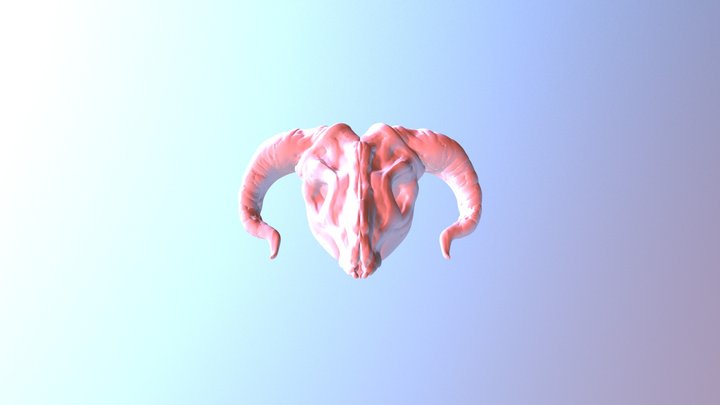 Goatskull 3D Model