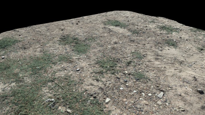 Ground (Decimated 3D Scan) 3D Model