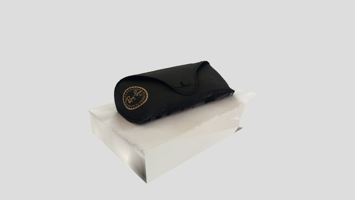 Ray-Ban sunglasses case 3D Model