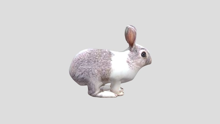 Mm Project 3D Model