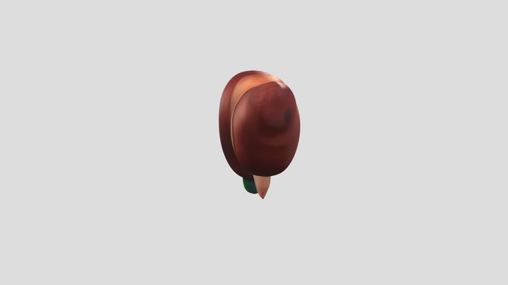 Liver_Anatomy_Illustr_1016043024 3D Model