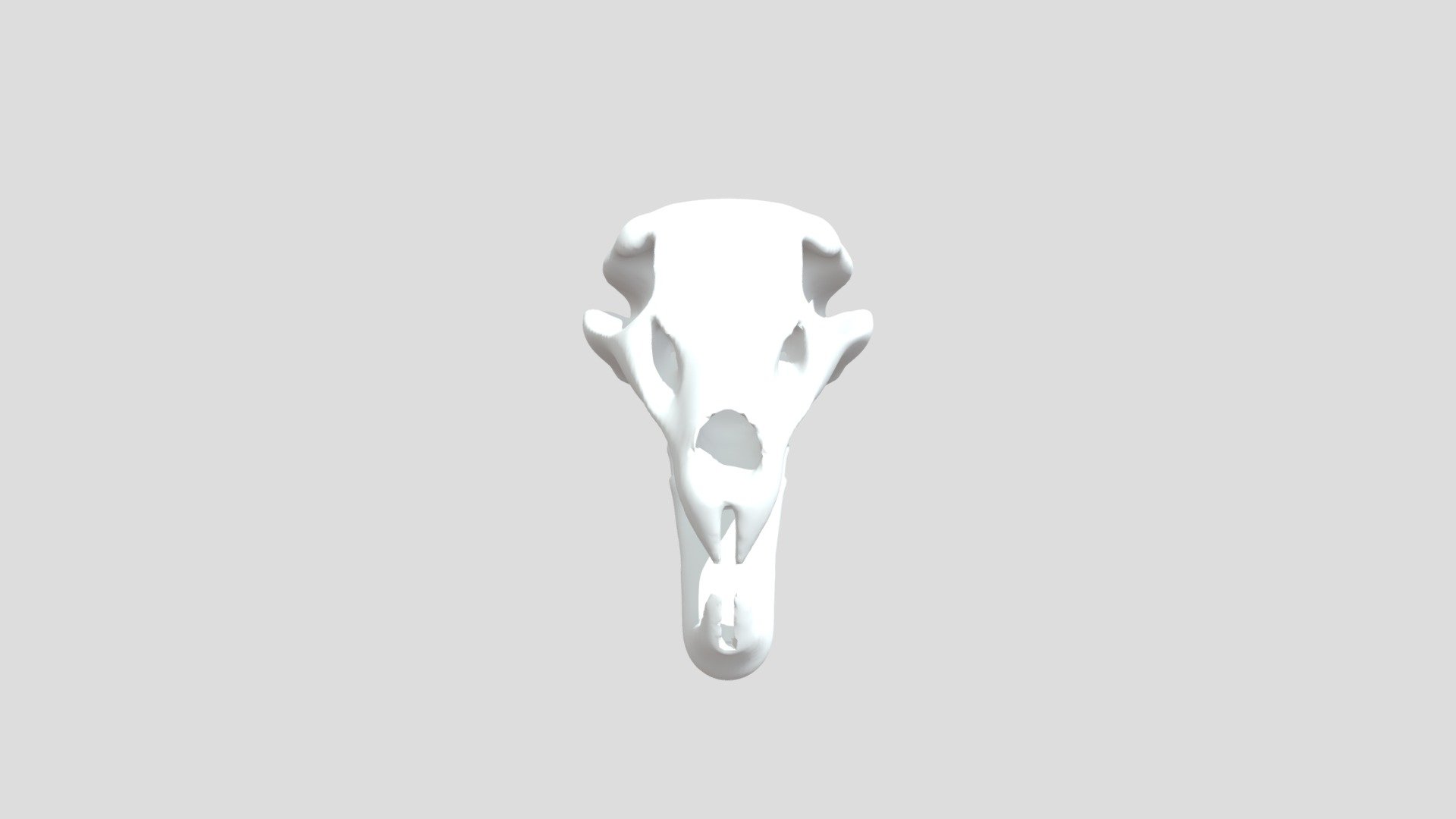 Rat skull (off model)