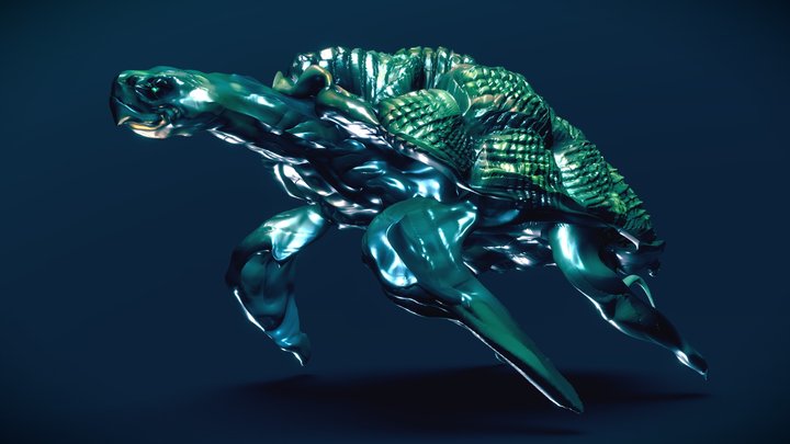 Sea-animals 3D models - Sketchfab