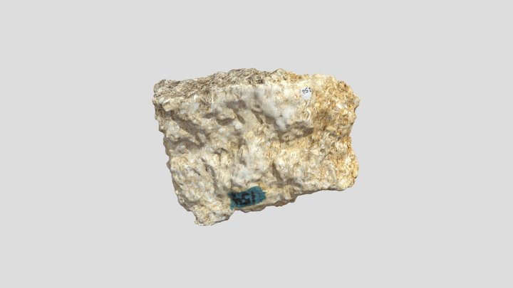 unknown sedimentary rock – Modello 3D gratuito STL