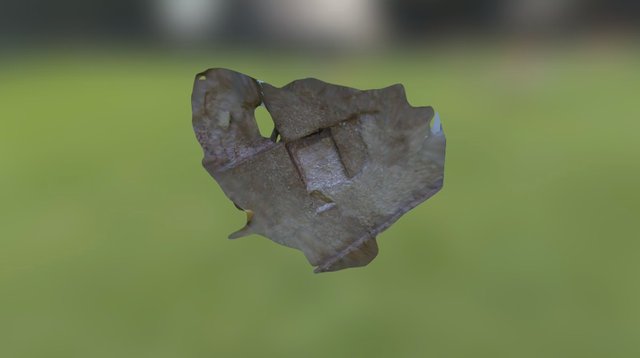 Iron age pits (Not fully excavated) 3D Model