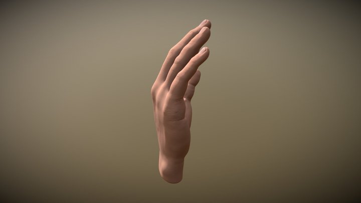 hand 3D Model