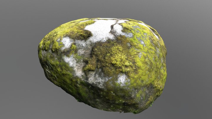 Rock Moss High 3D Model