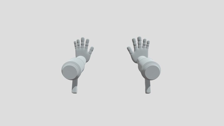 Grab-pack 3D Model
