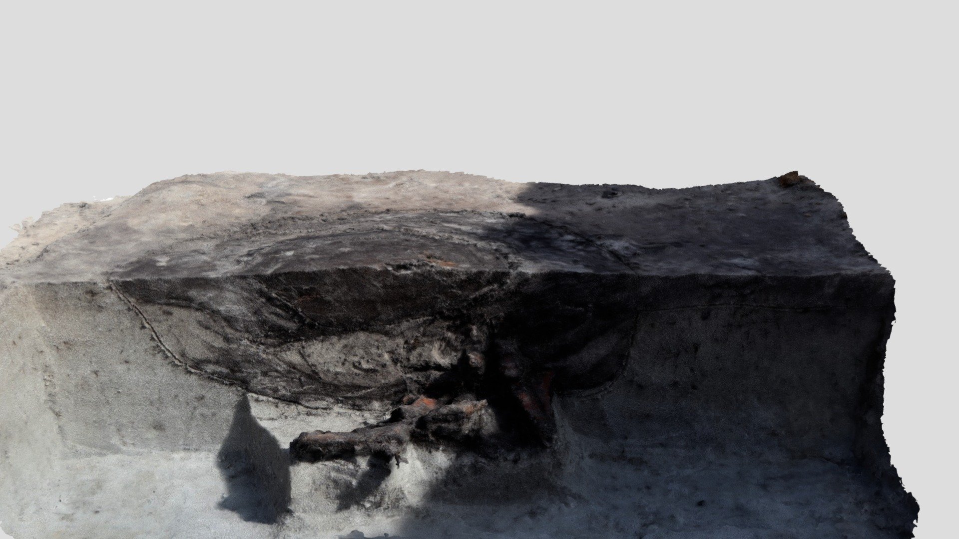 Project Heiloo- Zuiderloo: dierlijk skelet — Sketchfab embed 3D viewer