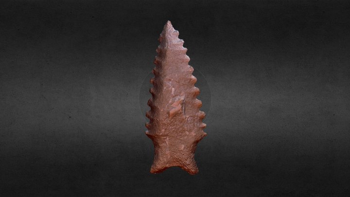 Dalton Projectile Point 3D Model