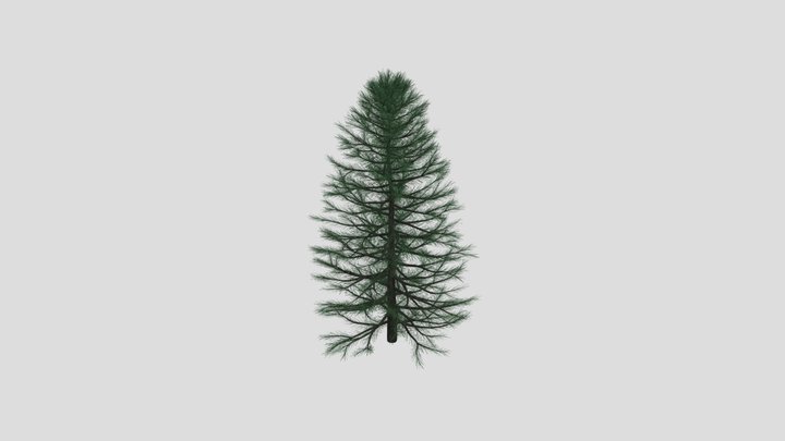 Pine Tree – Kostenloses 3D-Modell STL