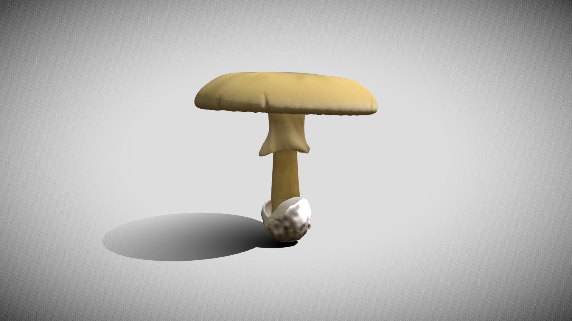 Shroom Download Free 3d Model By Graduisc 4db3543 Sketchfab 9520