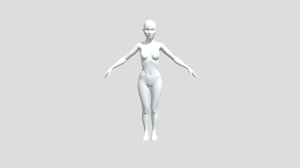 Anatomía - A 3D model collection by ForzaThunder - Sketchfab