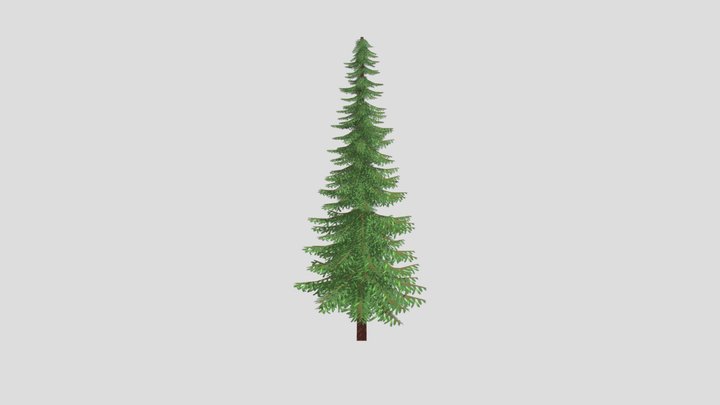Conifer Low Poly 3D Model