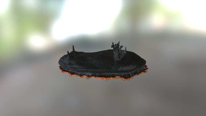 Dendro 3D Model